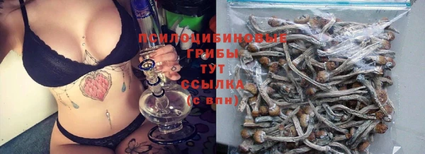 Альфа ПВП Новодвинск