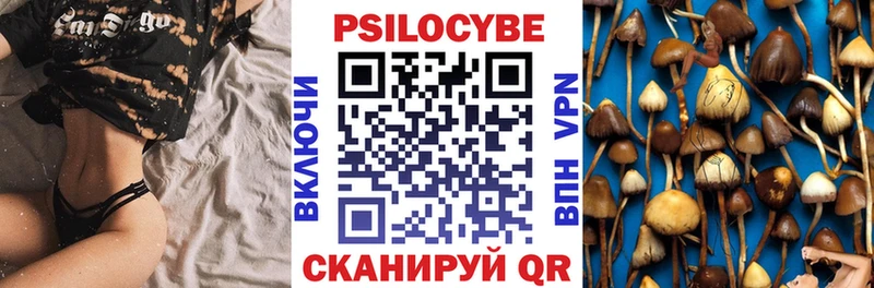 где продают   Петров Вал  нарко площадка какой сайт  Псилоцибиновые грибы мухоморы 